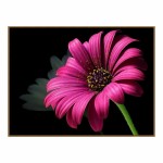Алмазная мозаика "Пурпурный цветок"